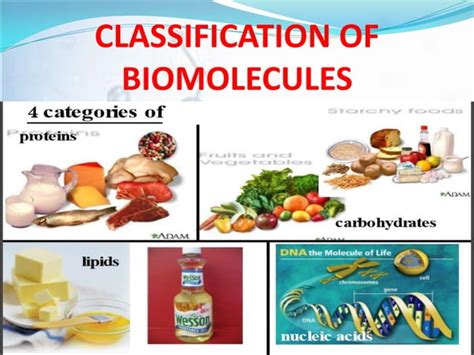 Biomolecules | PPT