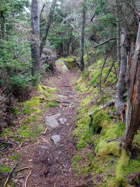 Hiking Hunter Mountain Via Becker Hollow