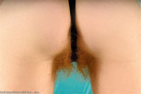 Thong Versus The Ginger Bush Porn Pic