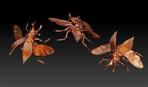 Stag Beetle In Flight 3d Model 3d Printable Cgtrader