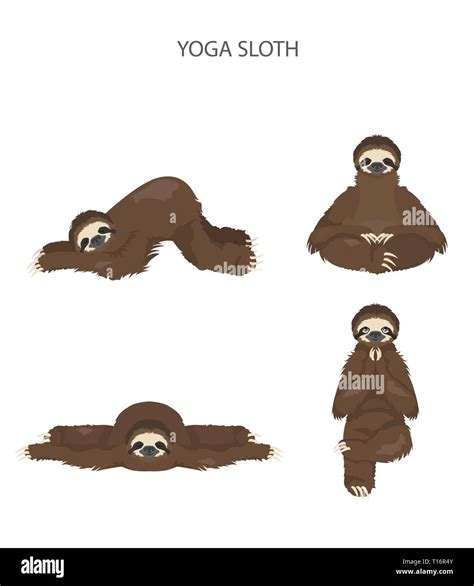 Sloth Yoga Collection Funny Cartoon Animals In Different Postures Set