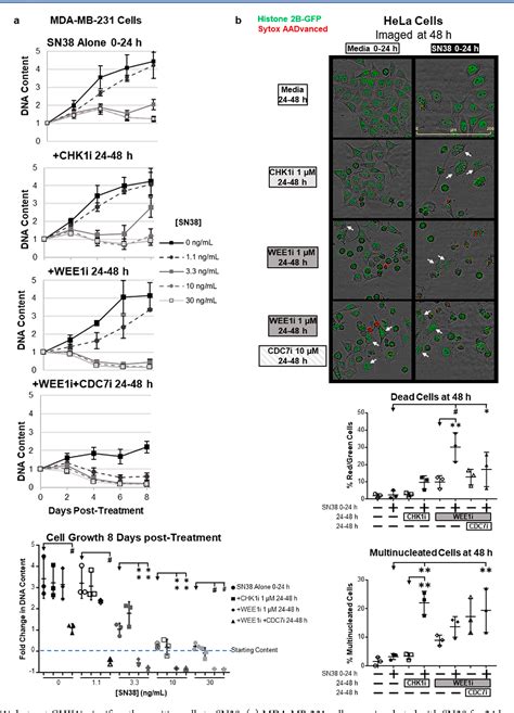 Figure From Differential Sensitivity To Cdk Inhibition Discriminates