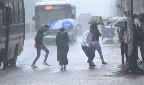 Heavy Rains In Many Areas Of Ncr Amid Flood Crisis In Yamuna Yellow Alert Issued यमुना में आई