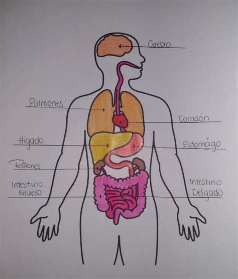 2 Dibujos Para Colorear Issuu