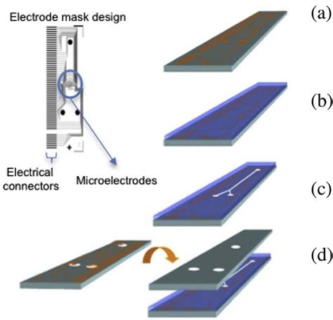 Schematic View Of The Microfabrication Process A Deposition Of Metal