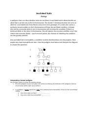 Sex Linked Traits Docx Sex Linked Traits Biology A Pedigree Chart Can Show Whether Traits