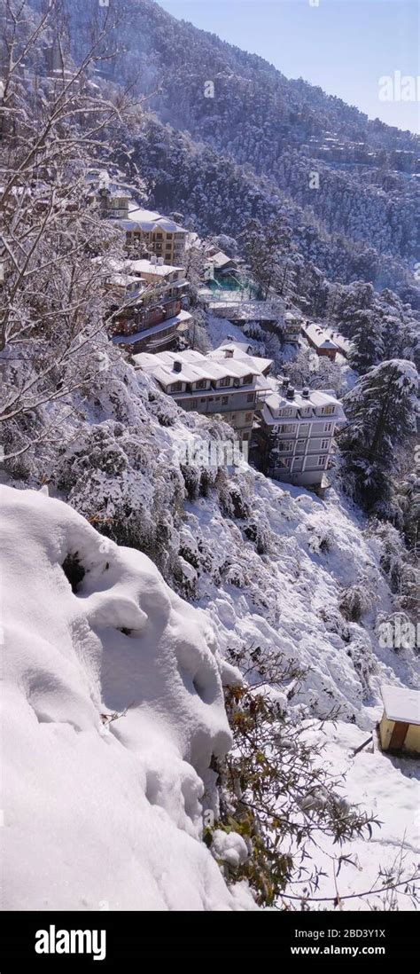 After Snowfall a Very Beautiful City in Shimla Stock Photo - Alamy