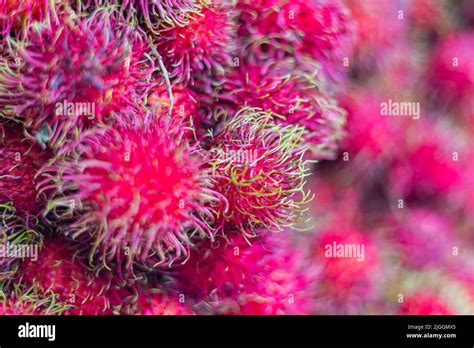 A Big Bunch Of Rambutan On A Fresh Market In Kuala Lumpur Malaysia It