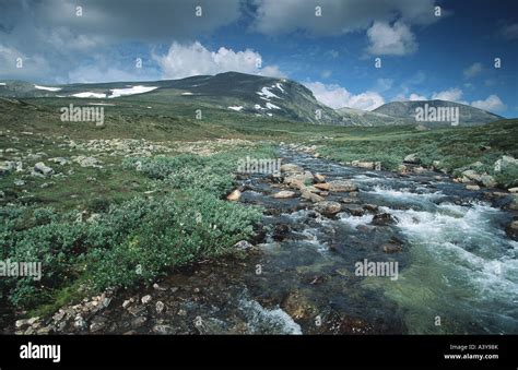 Dovre Fjell, Norway, Dovre Fjell NP Stock Photo - Alamy