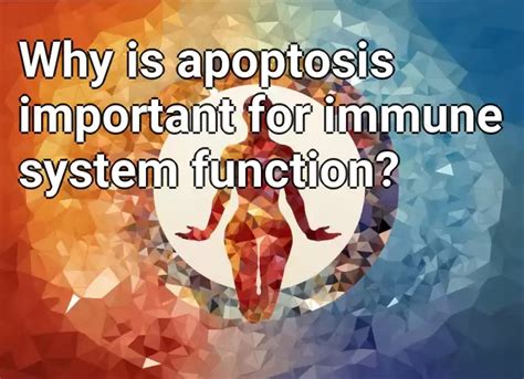 Why is apoptosis important for immune system function? – LifeExtension ...