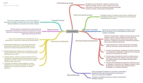 Mapa mental áreas forenses Forensic notes uDocz