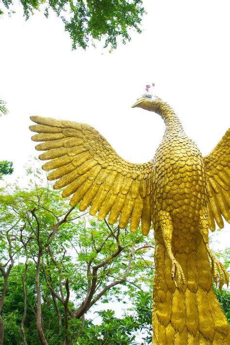 Figura Estatua Del Oro Del Pavo Real Imagen De Archivo Imagen De