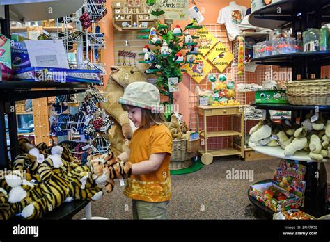 Virginia Roanoke Mill Mountain Zoo T Shopgirl Shopping Looks
