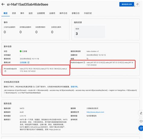 Nats社区版服务实例部署文档 Aliyun 计算巢