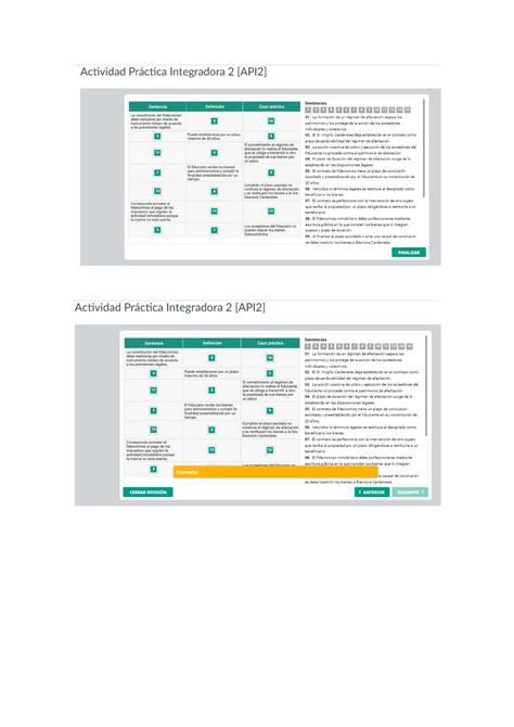 Procedimiento de ejecución y conservación del patrimonio API 2 100