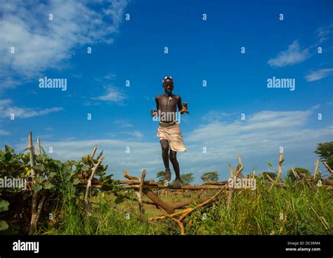 Einen Zaun Springen Fotos Und Bildmaterial In Hoher Aufl Sung Alamy