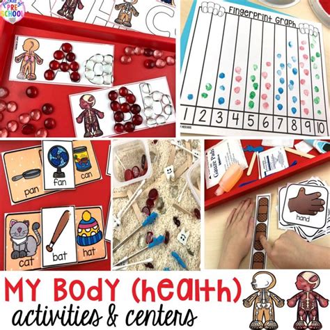 body themed activities  centers pocket  preschool