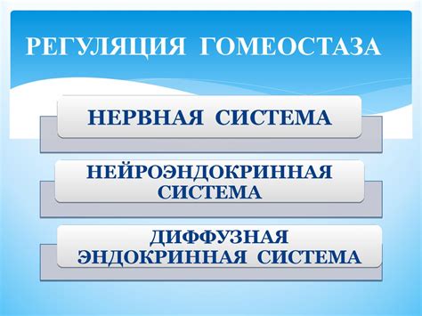 Биология развития. Основы гомеостаза - презентация онлайн