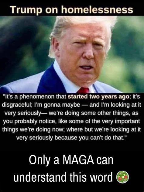 Liz Cheney/Adam Kinzinger Against Trump | Facebook