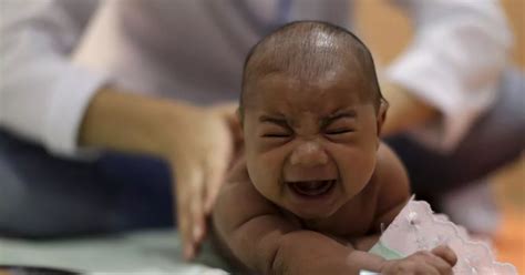 Zika Virus True Horror Revealed As Babies Rushed To Hospital For