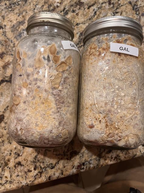 Truffles always freak me out when growing : r/shrooms