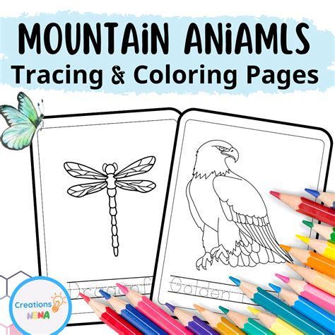 mountain animals coloring pages  teach simple