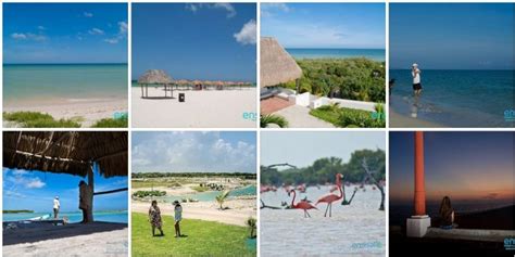 The beaches of Sisal, suitable for the ‘Blue Flag’ certificate - The ...