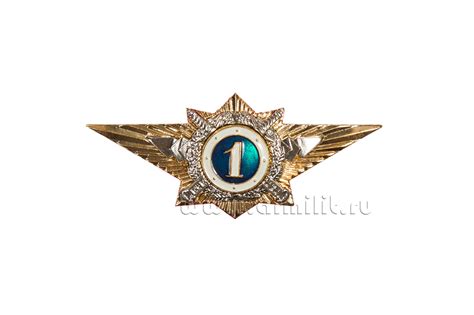 Классность. Купить знаки классности