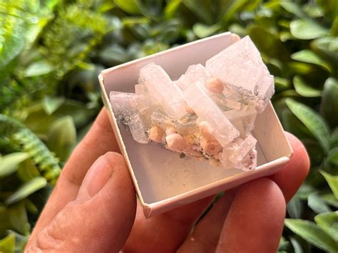 Manganocalcite On Calcite Barite Androw Mine Erma Reka Bulgaria Natural