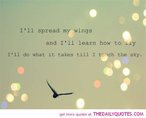 Spread Your Wings And Fly Quotes Quotesgram