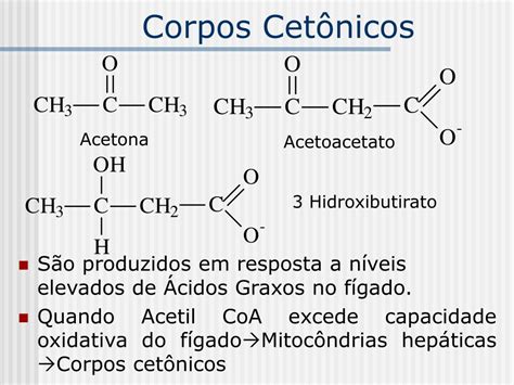 O Que São Corpos Cetônicos BRAINCP