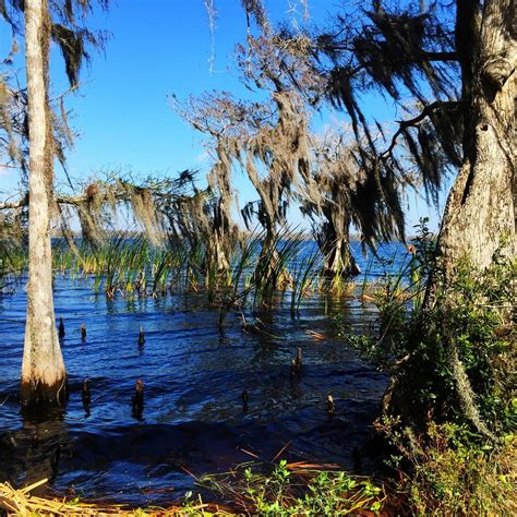 THE DISNEY WILDERNESS PRESERVE (Kissimmee) - 2023 What to Know BEFORE ...