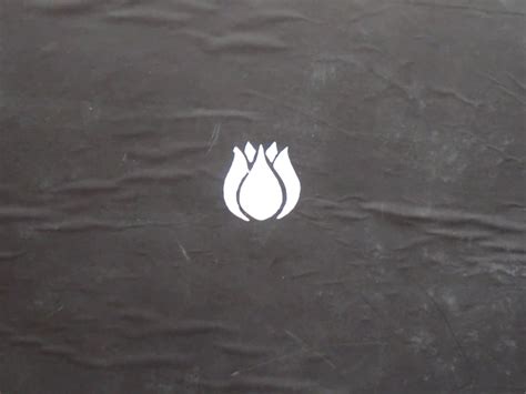 How to Make a Stencil (with Pictures) - wikiHow