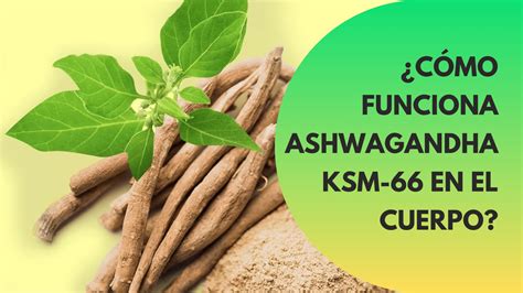 Hanna Punzel Video | Escape Digital