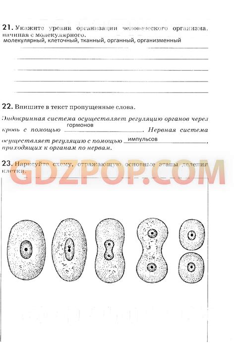 ГДЗ ГДЗ решебник по биологии 8 класс рабочая тетрадь Колесов Маш Беляев ...