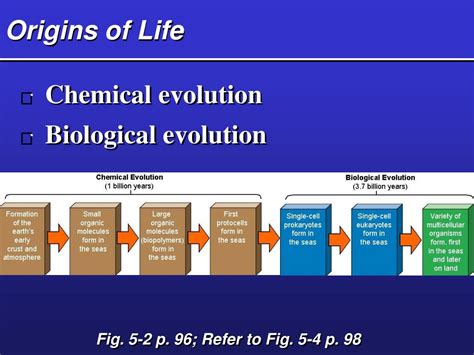 Ppt Evolution And Biodiversity Origins Niches And Adaptations