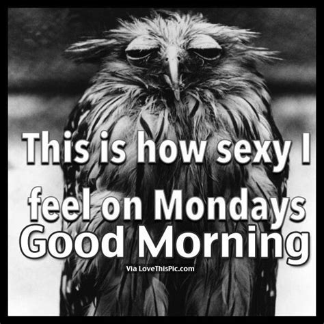 This Is How Sexy I Feel On Mondays Good Morning Monday Good Morning