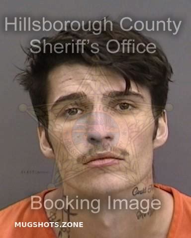 Mcgrath Sean Hillsborough County Mugshots Zone