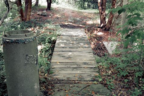 an old troll bridge in the middle of the woods.. ~ the woodland gardener