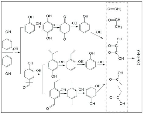 Probable Degradation Pathway Of Bpa Download Scientific Diagram