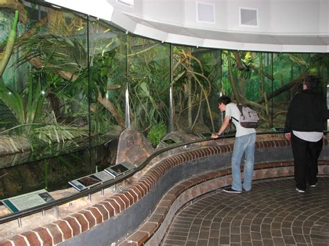 Taronga Zoo 2007 - Inside the Reptile House - ZooChat