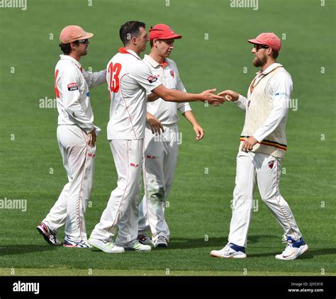 Redback Players Celebrate The Dismissal Of Will Sutherland From The