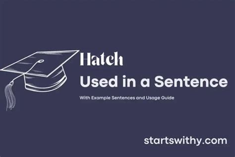 Hatch In A Sentence Examples 21 Ways To Use Hatch