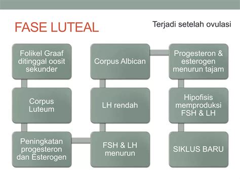 Siklus Menstruasi Ppt