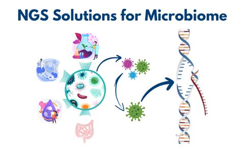 Outsource Next Generation Sequencing For Microbial Research