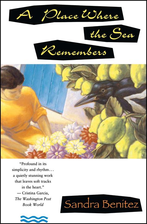 A Place Wherethe Sea Remembers