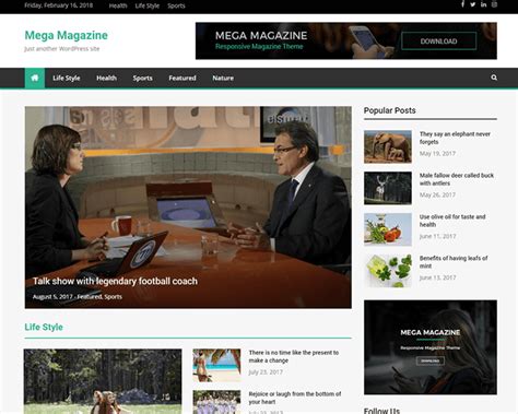 Mega Magazine Captivating Wordpress Theme For Magazine
