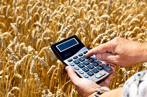 Программа AgroStream
