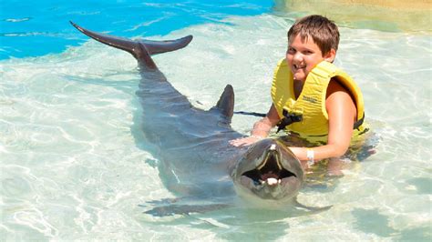 Tour Nadar con Delfines excursión en catamaran Papaya Group Tours