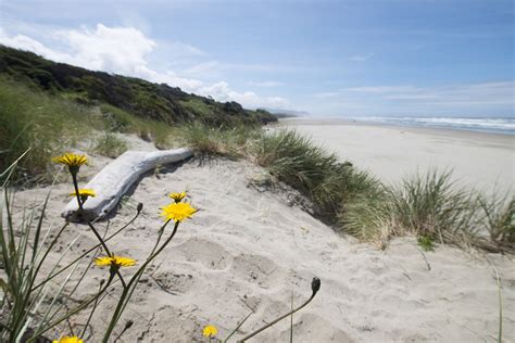 A Guide To Camping On The Central Oregon Coast Oregon Coast Central